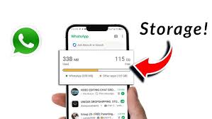 Save Storage Space While Using WhatsApp Web and Telegram Download